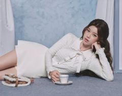 Velvet Top - Áo len cổ bèo