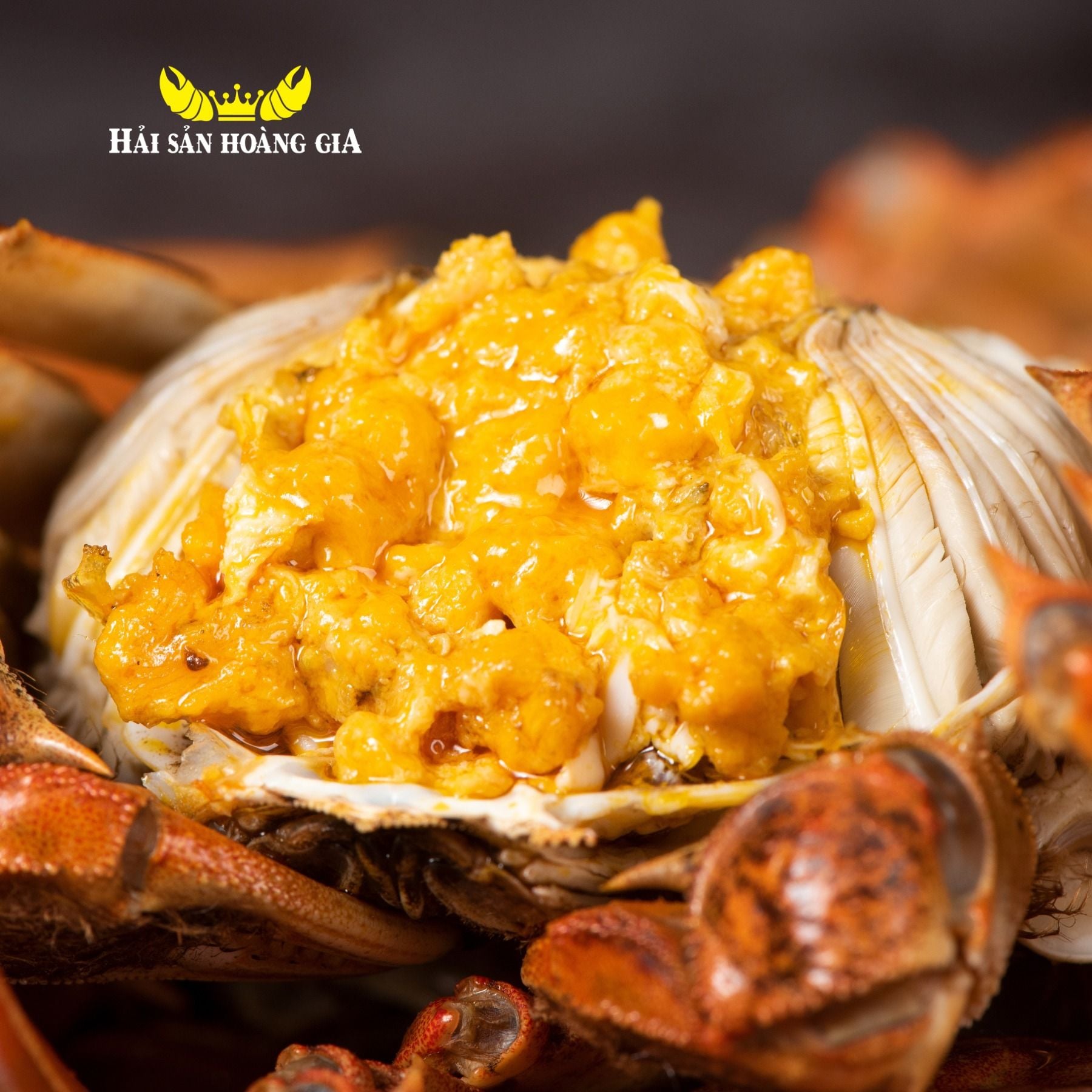  Cua Lông Thượng Hải (Cua cái size 4-6 Con/Kg) - Sống 