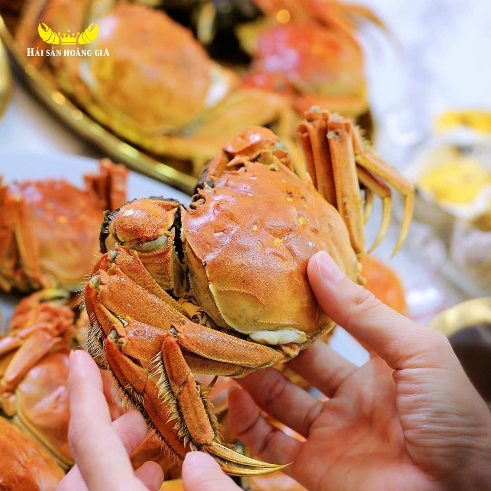  Cua Lông Thượng Hải (Cua cái size 4-6 Con/Kg) - Sống 