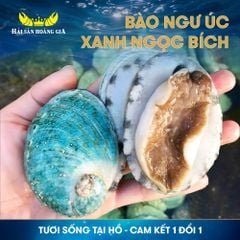  Bào Ngư Úc Xanh Ngọc Bích - Sống 