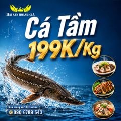  Cá Tầm - Sống 