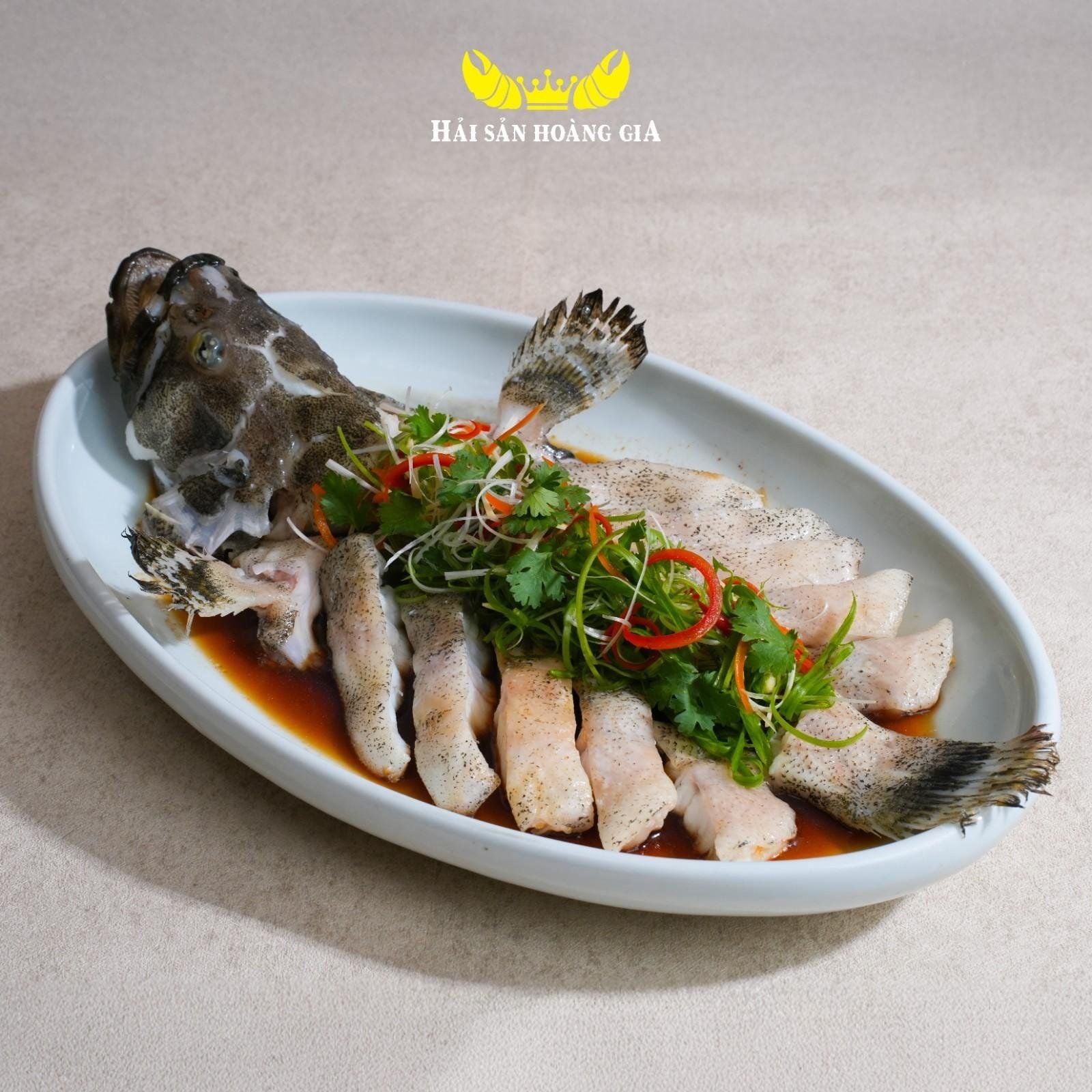  Cá Mú Trân Châu - Sống 