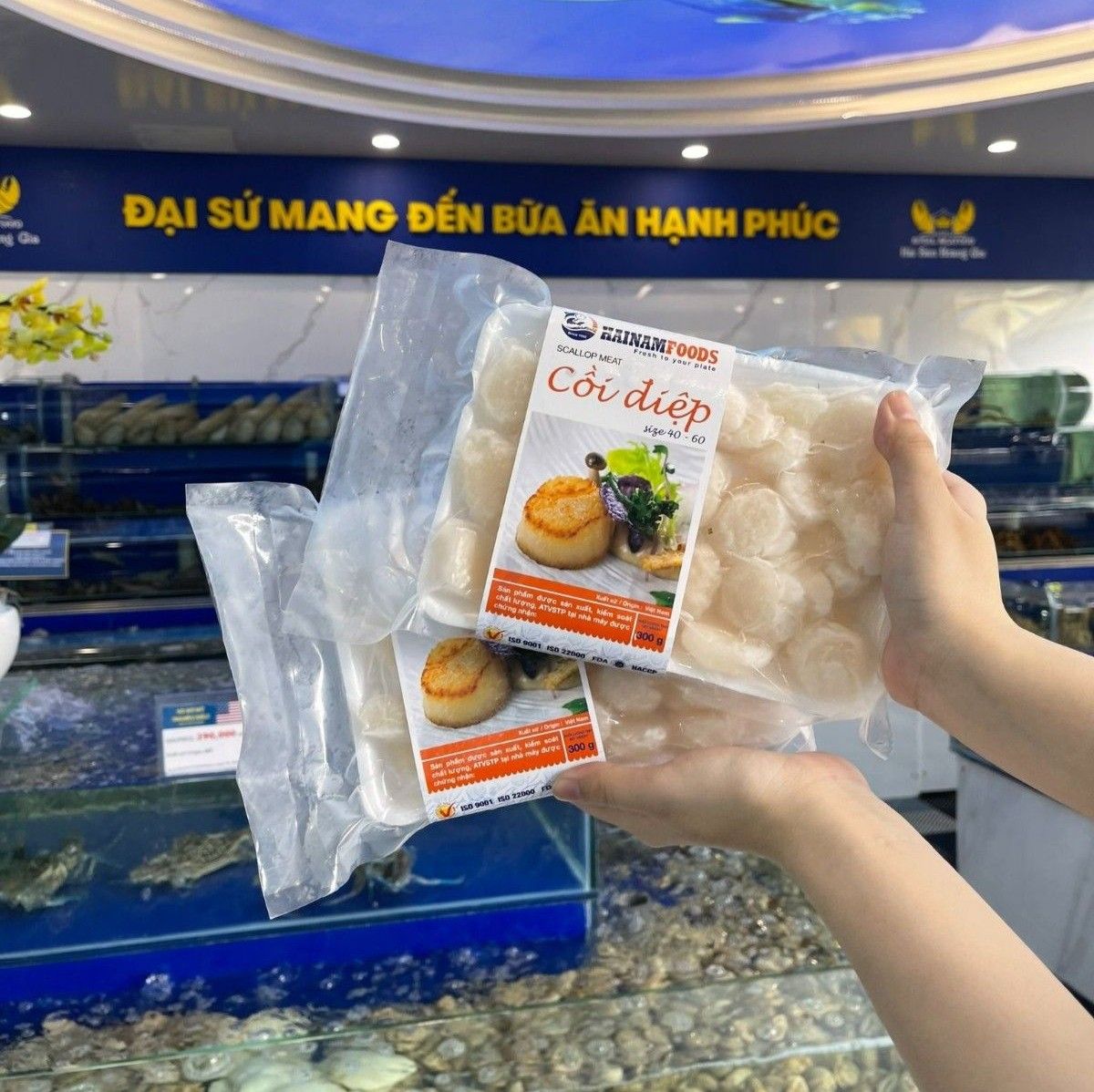  Cồi sò điệp 