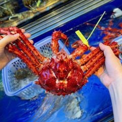  Cua Hoàng Đế Ruby - King Crab Ruby Sống 