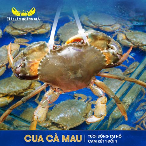 Hải Sản Tươi Sống - Cam Kết 1 Đổi 1
