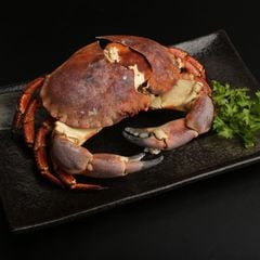 Cua nâu ireland tươi sống - Hải Sản Hoàng Gia