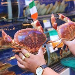 Cua nâu ireland tươi sống - Hải Sản Hoàng Gia