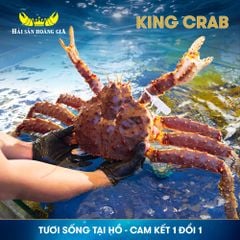  Cua Hoàng Đế - King Crab Đỏ - Sống 