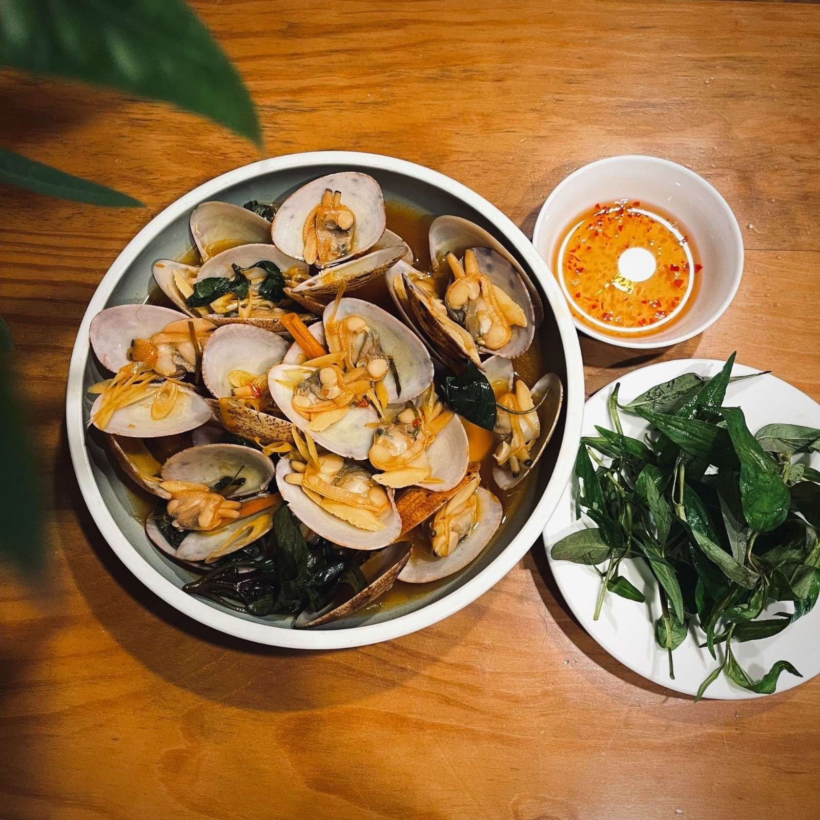  Nghêu 2 Cồi - Sống 