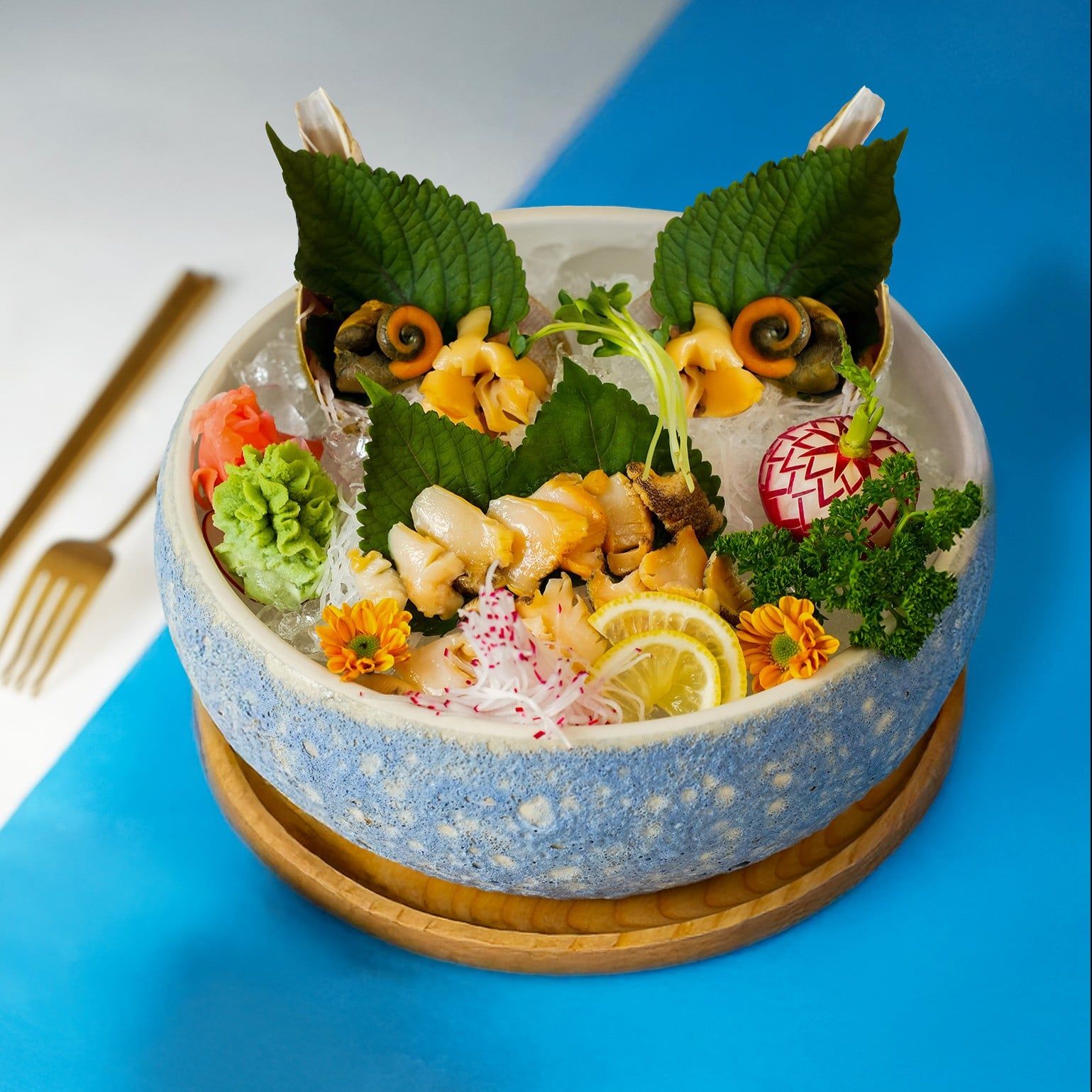  Ốc Channel (Ốc Kèn Bắc Mỹ) - Sống 