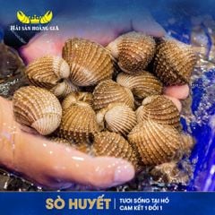  Sò Huyết (Size 20-40 con/kg) - Sống 