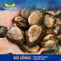  Sò Lông - Sống 
