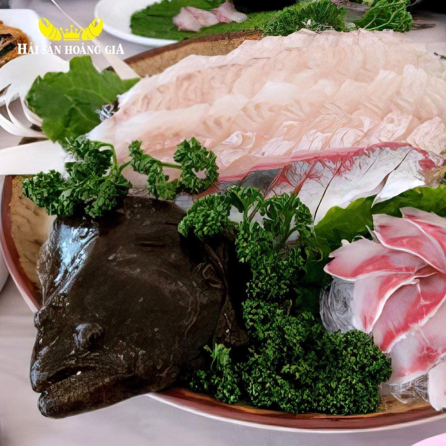  Cá Bơn Nâu Hàn Quốc - Sống 