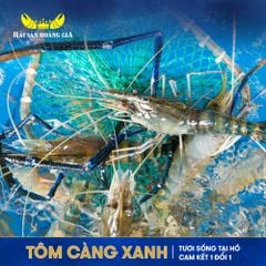  Tôm Càng Xanh - Sống (Kg) 