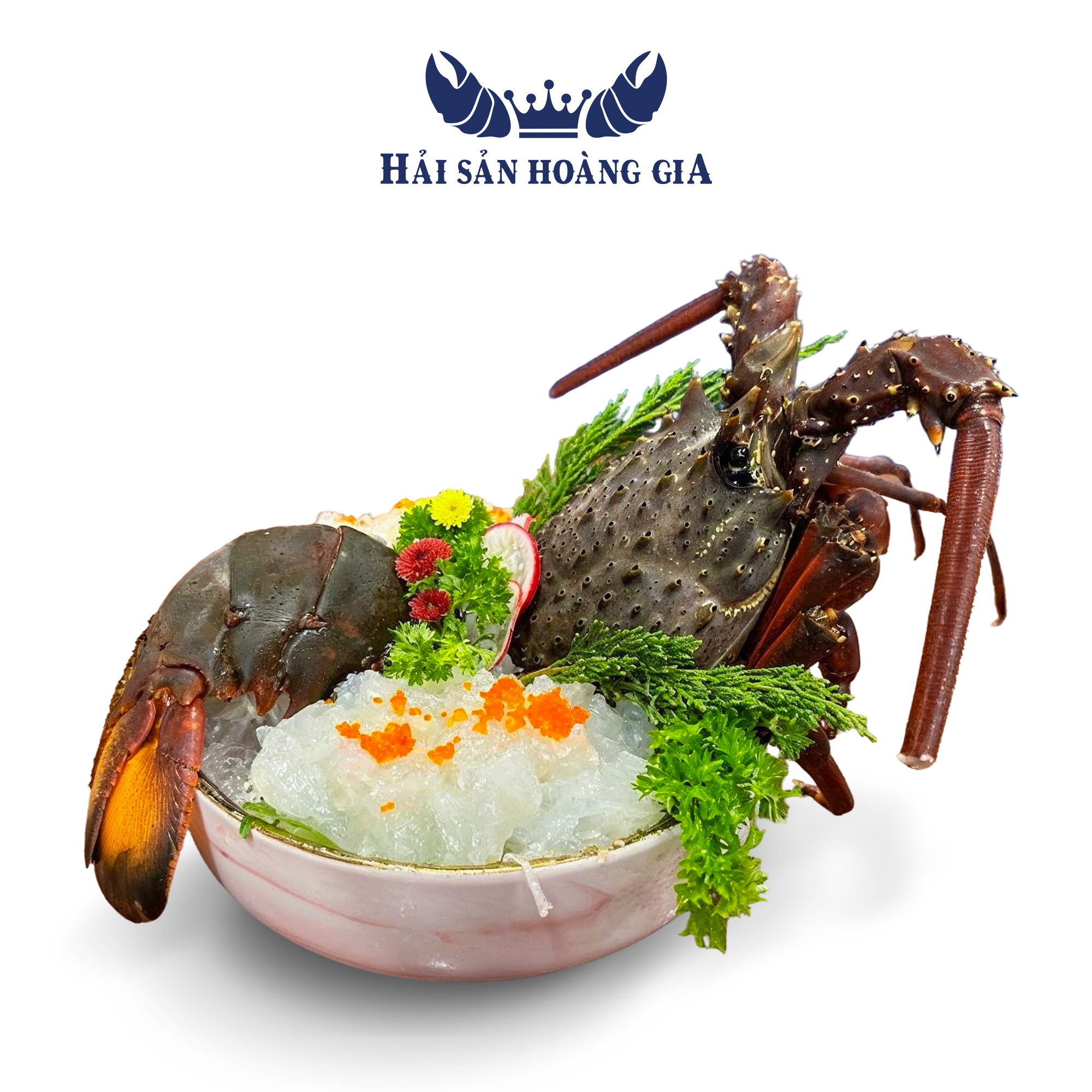  Tôm Hùm Đông Úc - Sống (Kg) 