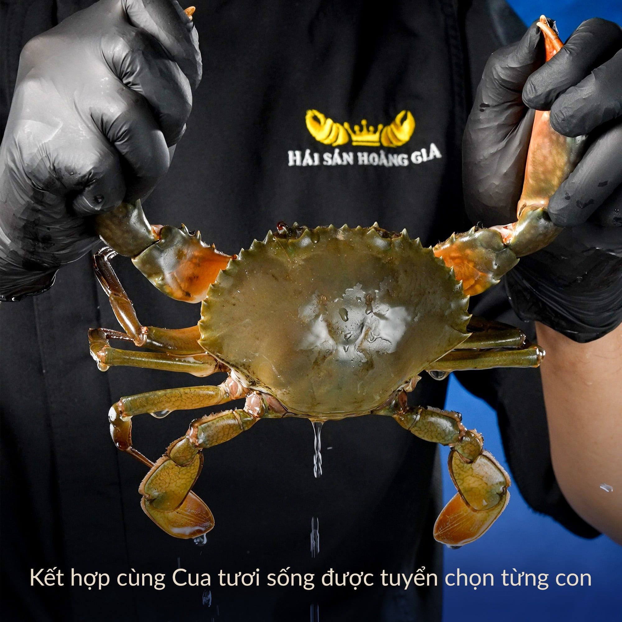  Xôi Cua Hoàng Gia 