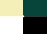  Combo 02 áo thun Green X 
