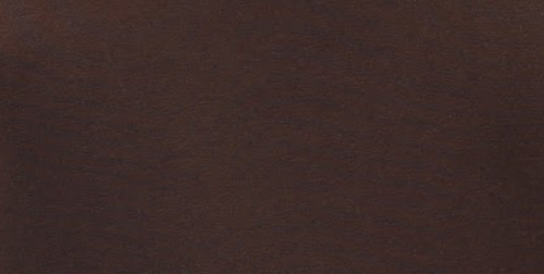  Áo Thun Nữ Discovering The Untold WTS 2533 