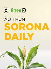 Combo 02 áo thun Green X