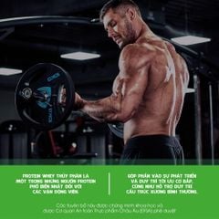 Sữa Tăng Cơ Scitec Nutrition 100% Hydro Isolate 700g ( 30 Servings )