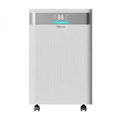 Máy hút ẩm dân dụng Fujihome DH20NW-HEPA