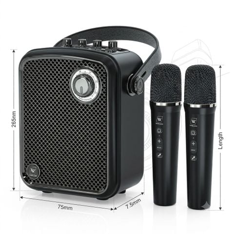 Loa Trợ Giảng WinBridge S100 Pro 70W 2 micro