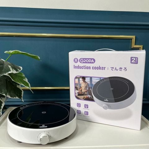 Bếp Từ Đơn Tròn Gropa G2-607