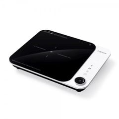 Bếp Từ Đơn Fujihome IC1901W