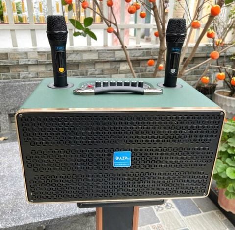 Loa xách tay AZpro D338