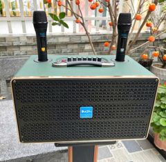 Loa xách tay AZpro D338