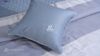 Bộ ga gối Blue Sky Tencel – DLS228 Hanvico