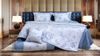 Bộ ga gối Blue Sky Tencel – DLT230 Hanvico