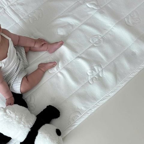 Thảm Duraron Baby Cooling Dono&Dono - Puppy Friends