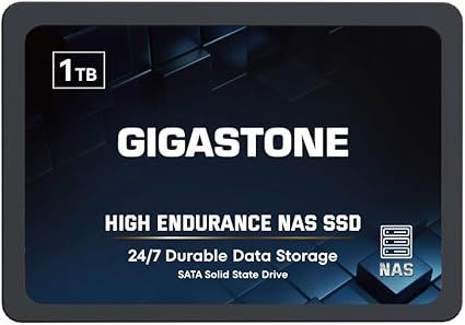Ổ cứng SSD Gigastone 1TB