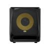 Loa Sub kiểm âm KRK 10S2