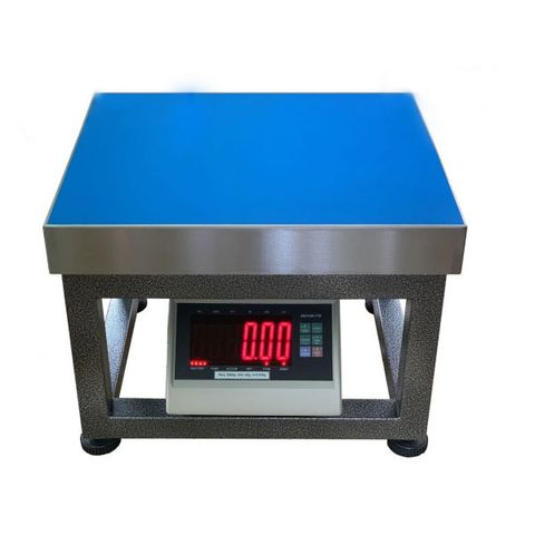 Cân ghế Yaohua T7E 300kg