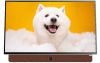 Google Tivi Xách Tay Di Động Full HD Coocaa 24 Inch 24LP6000G