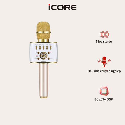 Micro Karaoke 3 Trong 1 iCore IC-M99