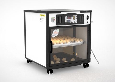 Máy ấp trứng LIN - Delta H1 (100 trứng)