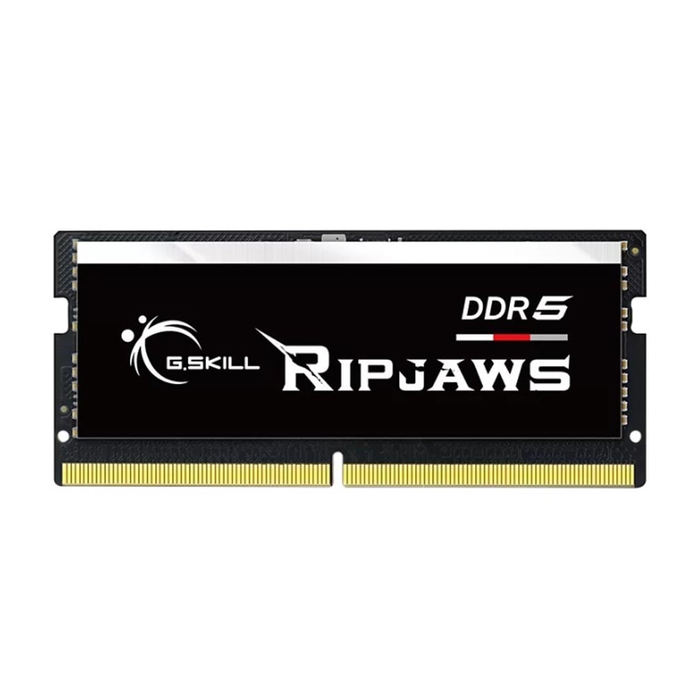 Ảnh minh họa Ram Laptop GSKill 16Gb KVR56S4040A16GX1-RS 1