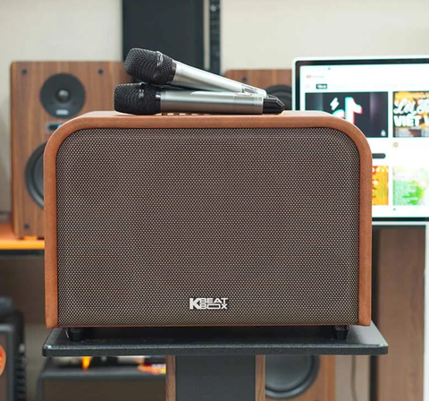 LOA ACNOS HARMONY ÂM THANH ĐỈNH CAO KARAOKE MỌI KHÔNG GIAN