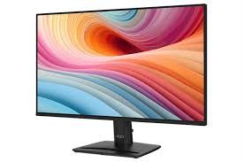 Màn hình máy tính MSI PRO MP251W E2 (24.5in / IPS / FHD / 120Hz / 1ms)