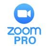 trực tuyến Zoom Workplace Pro 300 participants - Gói 1 năm