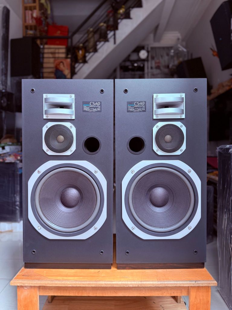 オーディオ機器 PIONEER CS-900