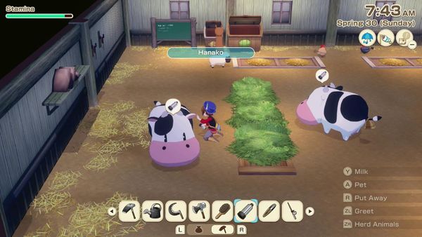 STORY OF SEASONS: Grand Bazaar - Premium Edition (Switch 2)