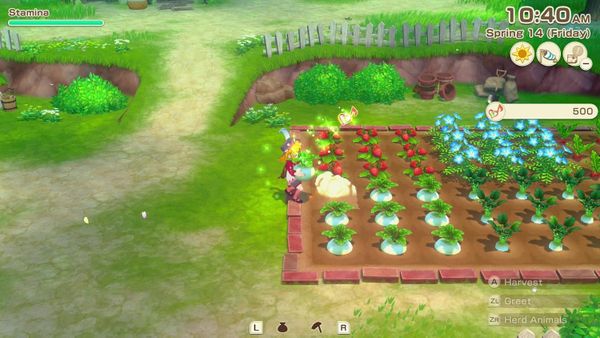 STORY OF SEASONS: Grand Bazaar - Premium Edition (Switch 2)
