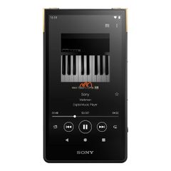 Sony Walkman NW-ZX707