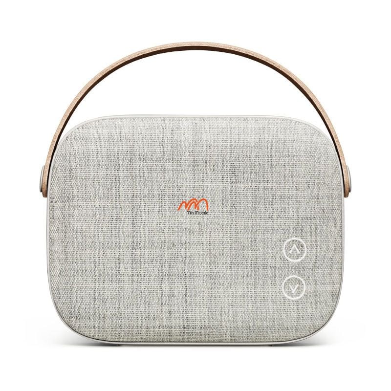 thay-pin-loa-vifa-helsinki-q12 (1)