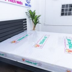 CAO SU NON cao cấp THẮNG LỢI