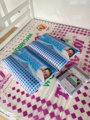 CAO SU WONDERFOAM THẮNG LỢI